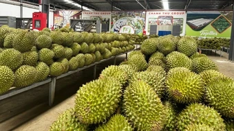 Đơn giản hóa cấp mã số vùng trồng, cơ sở đóng gói phục vụ xuất khẩu nông sản