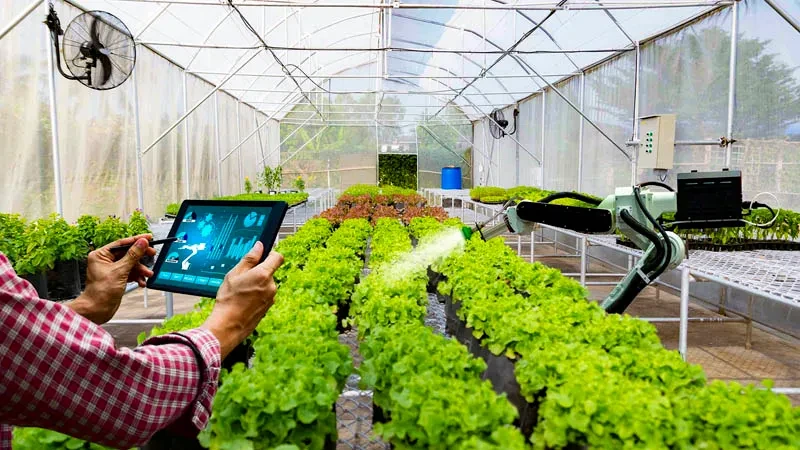 Đơn giản hóa thủ tục lĩnh vực nông nghiệp và môi trường Đơn giản hóa thủ tục lĩnh vực nông nghiệp và môi trường