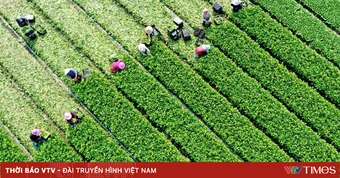 Đơn giản hóa thủ tục lĩnh vực nông nghiệp và môi trường