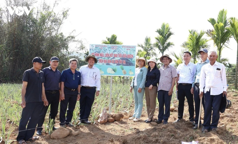 Đồng bào miền núi Quảng Ngãi thay đổi tư duy làm nông nghiệp