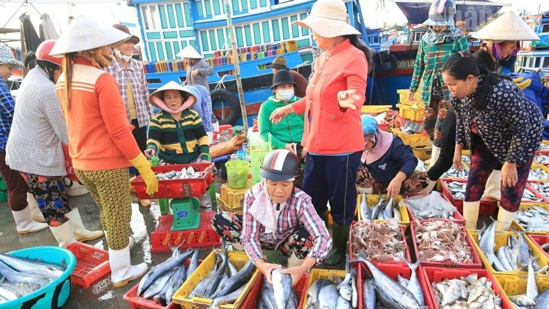 Đông Hải hòa vào nhịp sống phố thị