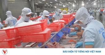 Đồng hành cùng doanh nghiệp giữ vững thị trường xuất khẩu