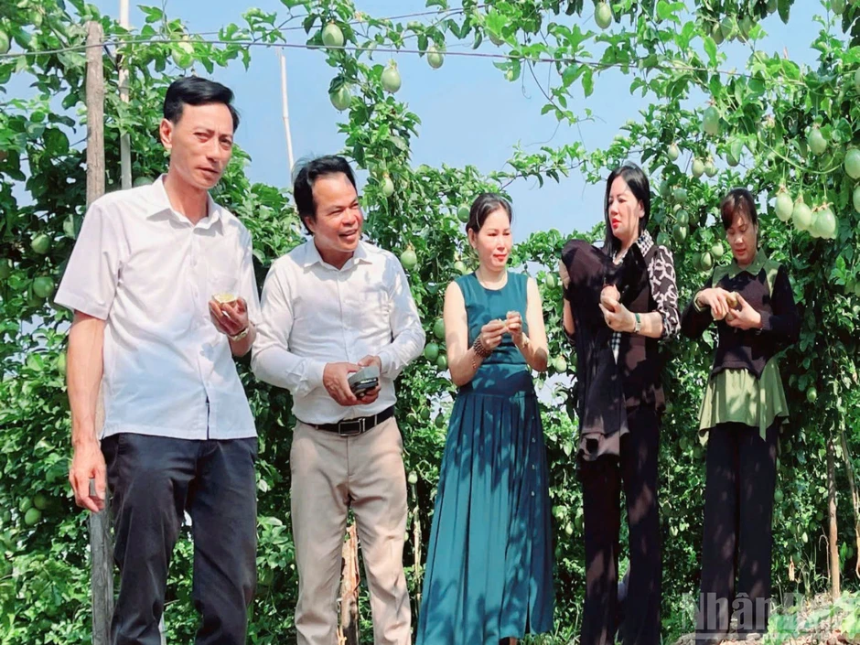 Đồng hành xanh hóa nông nghiệp: Từ giấc mơ đến hiện thực Đồng hành xanh hóa nông nghiệp: Từ giấc mơ đến hiện thực
