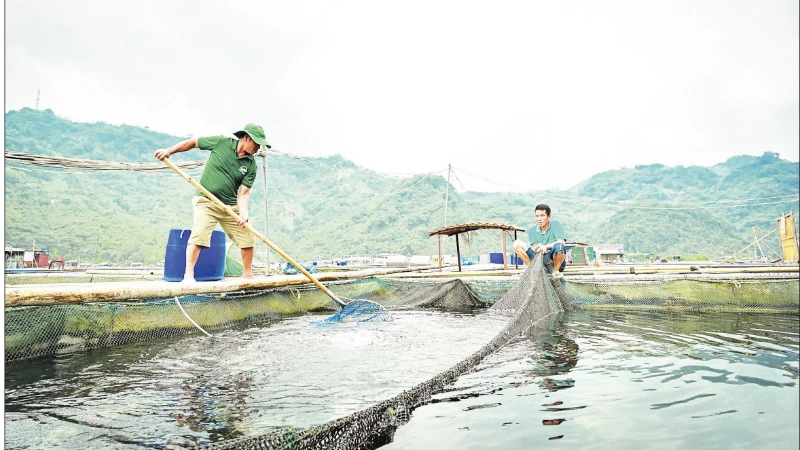 Động lực mới cho tăng trưởng ngành thủy sản Động lực mới cho tăng trưởng ngành thủy sản