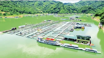 Động lực mới cho tăng trưởng ngành thủy sản