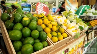 Động lực tăng trưởng thương mại, dịch vụ quý I/2026