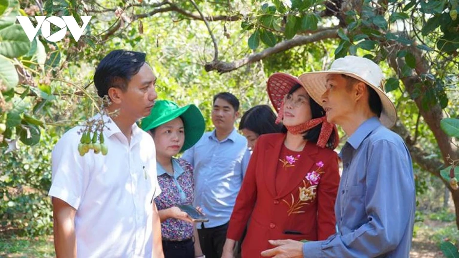 Đồng Nai sắp có lễ hội lớn, quyết tâm đưa thương hiệu điều bay xa Đồng Nai sắp có lễ hội lớn, quyết tâm đưa thương hiệu điều bay xa