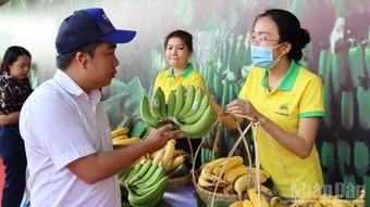 Đồng Nai tổ chức lễ hội điều và xuất khẩu chuối quy mô lớn