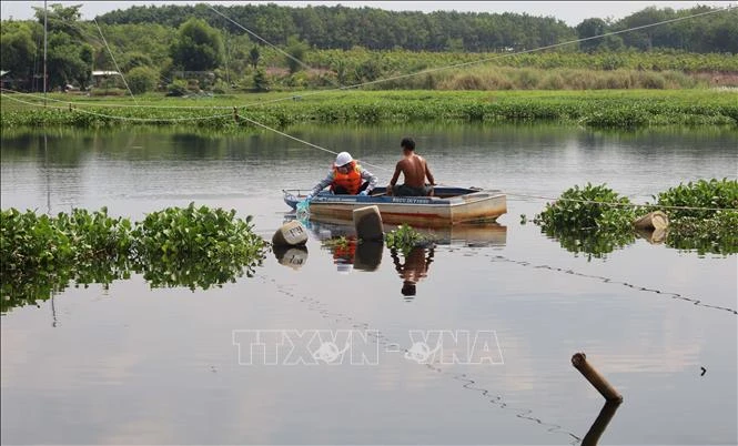 Đồng Nai: Xuất hiện cá chết tại hồ thủy lợi Phước Hòa Đồng Nai: Xuất hiện cá chết tại hồ thủy lợi Phước Hòa