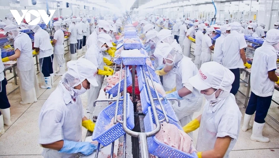 Đồng Tháp chế biến sâu để mở rộng thị trường và gia tăng giá trị nông sản Đồng Tháp chế biến sâu để mở rộng thị trường và gia tăng giá trị nông sản