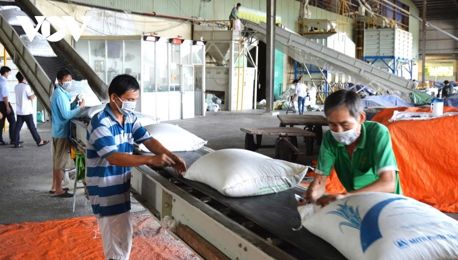 Đồng Tháp chế biến sâu để mở rộng thị trường và gia tăng giá trị nông sản Đồng Tháp chế biến sâu để mở rộng thị trường và gia tăng giá trị nông sản
