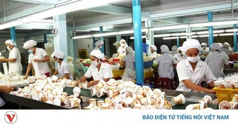 Đồng Tháp chế biến sâu để mở rộng thị trường và gia tăng giá trị nông sản