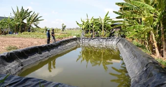 Đồng Tháp chuẩn bị xây 3 hồ trữ nước ngọt quy mô lớn