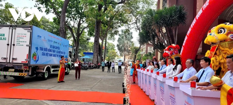 Đồng Tháp đưa lô bưởi da xanh đầu tiên xuất khẩu sang thị trường Úc Đồng Tháp đưa lô bưởi da xanh đầu tiên xuất khẩu sang thị trường Úc