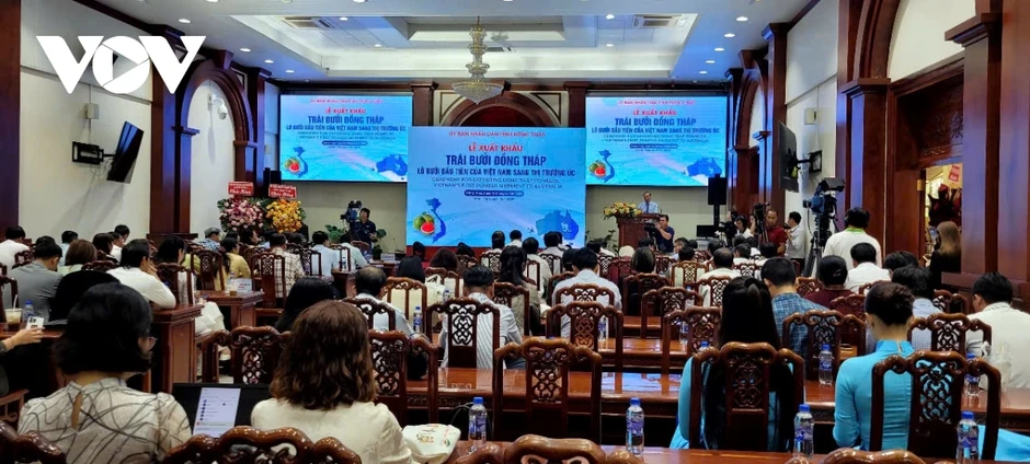 Đồng Tháp đưa lô bưởi da xanh đầu tiên xuất khẩu sang thị trường Úc Đồng Tháp đưa lô bưởi da xanh đầu tiên xuất khẩu sang thị trường Úc