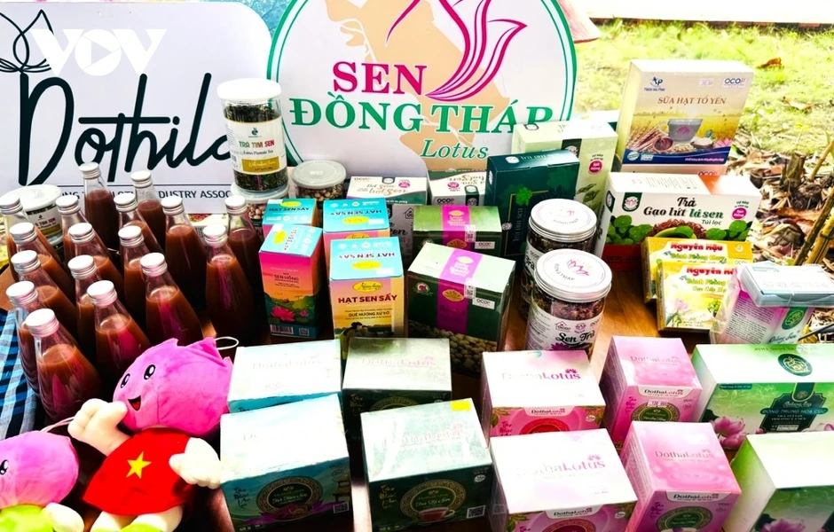 Đồng Tháp tháo gỡ “điểm nghẽn” để ngành hàng sen phát triển bền vững