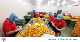 Đồng Tháp xếp thứ 2/5 tỉnh ĐBSCL về tăng trưởng kinh tế