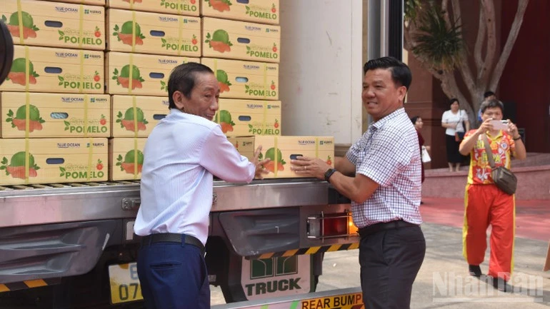 Đồng Tháp xuất khẩu lô bưởi đầu tiên sang thị trường Australia Đồng Tháp xuất khẩu lô bưởi đầu tiên sang thị trường Australia