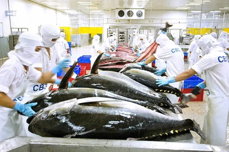 Đồng USD biến động doanh nghiệp nhập khẩu tìm cách ứng khó Đồng USD biến động doanh nghiệp nhập khẩu tìm cách ứng khó