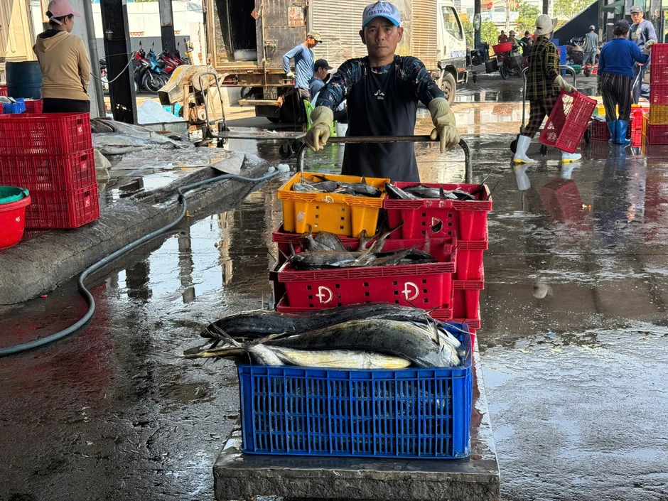 'Đột nhập' cảng cá lớn nhất vùng Duyên hải Nam Trung Bộ 'Đột nhập' cảng cá lớn nhất vùng Duyên hải Nam Trung Bộ