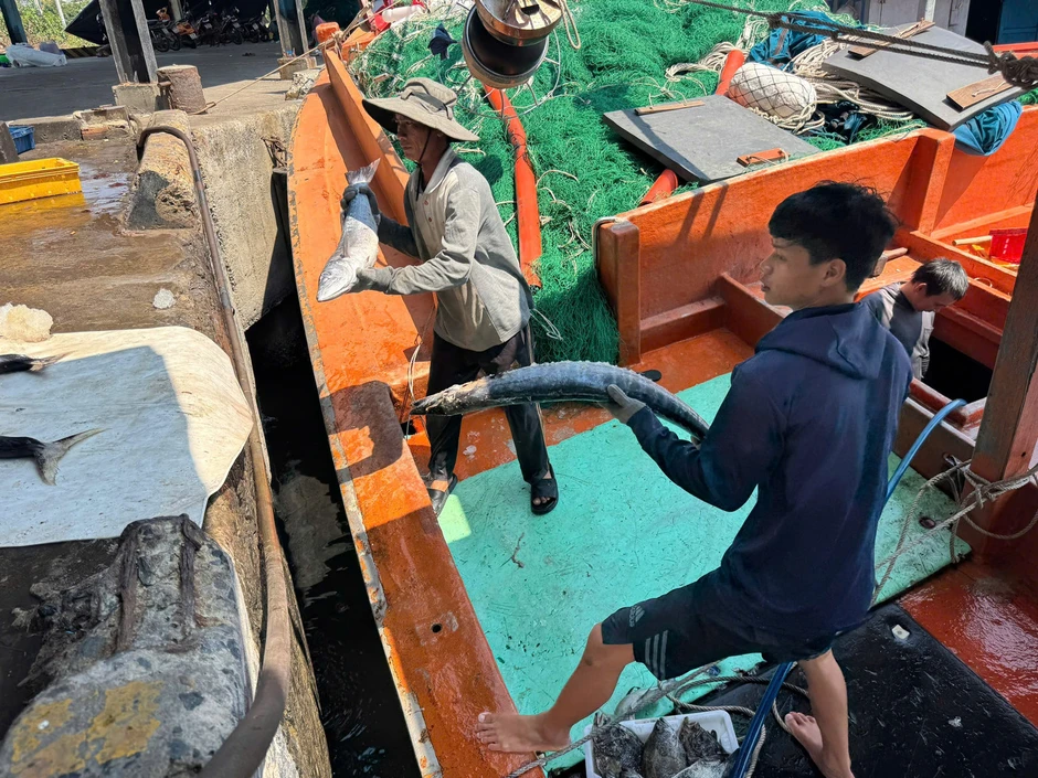 'Đột nhập' cảng cá lớn nhất vùng Duyên hải Nam Trung Bộ 'Đột nhập' cảng cá lớn nhất vùng Duyên hải Nam Trung Bộ