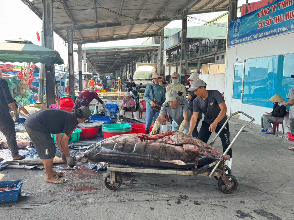 'Đột nhập' cảng cá lớn nhất vùng Duyên hải Nam Trung Bộ 'Đột nhập' cảng cá lớn nhất vùng Duyên hải Nam Trung Bộ