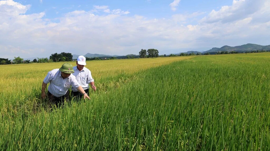 Đột phá phát triển kinh tế tập thể Đột phá phát triển kinh tế tập thể