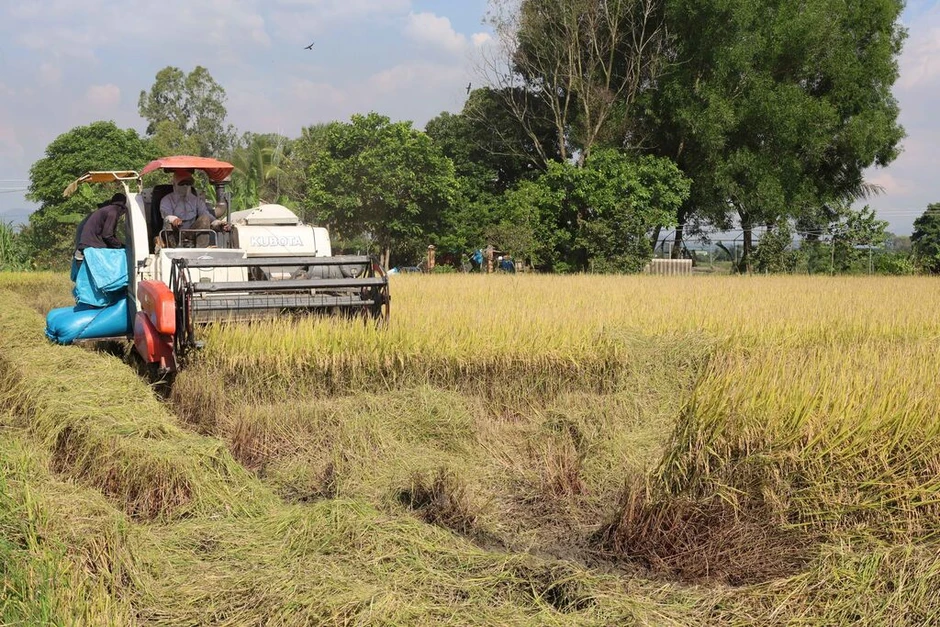 Đột phá phát triển kinh tế tập thể Đột phá phát triển kinh tế tập thể