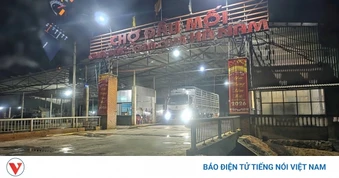 Dự án chợ gia súc, gia cầm của Công ty Đức Tín "lộ" hàng loạt vi phạm