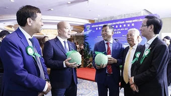 Dư địa rộng lớn cho trái cây Việt Nam tại thị trường Trung Quốc