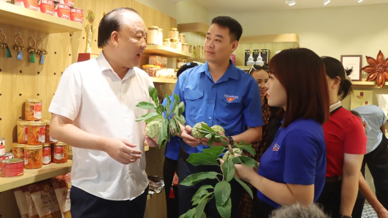 Đưa đặc sản xứ Lạng đến với người tiêu dùng Thủ đô Đưa đặc sản xứ Lạng đến với người tiêu dùng Thủ đô