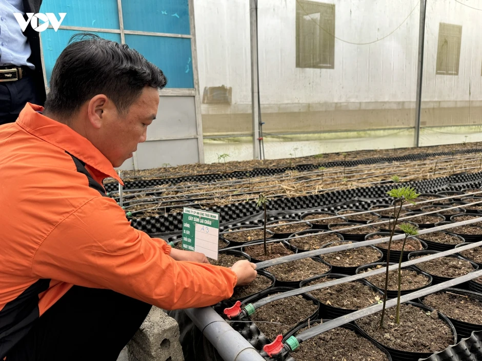 Đưa “đổi mới sáng tạo” xuống đồng ruộng giúp nông dân làm giàu Đưa “đổi mới sáng tạo” xuống đồng ruộng giúp nông dân làm giàu
