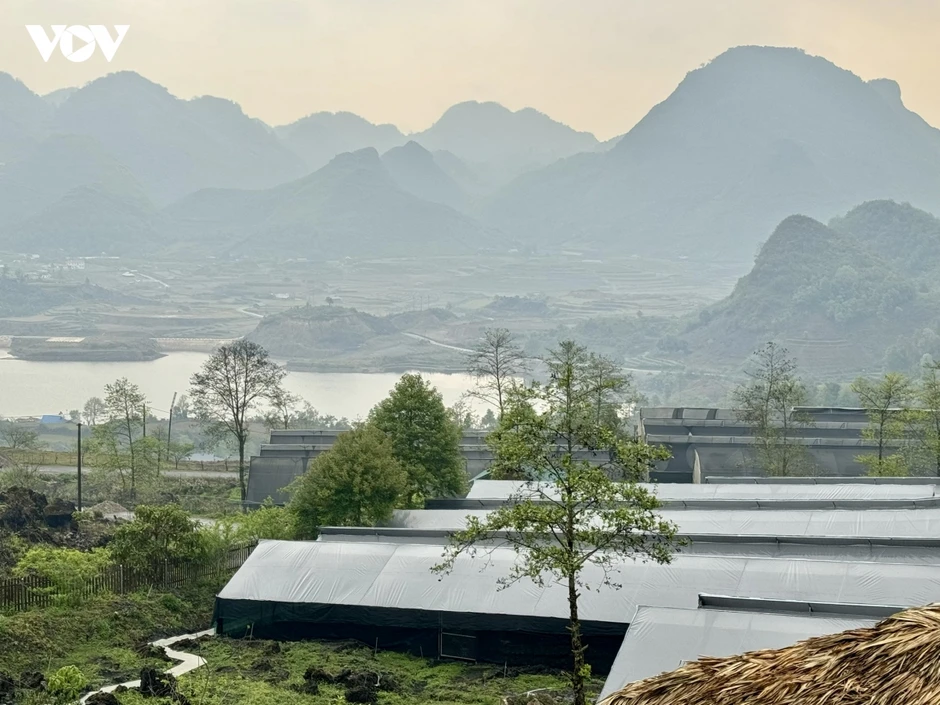 Đưa “đổi mới sáng tạo” xuống đồng ruộng giúp nông dân làm giàu Đưa “đổi mới sáng tạo” xuống đồng ruộng giúp nông dân làm giàu
