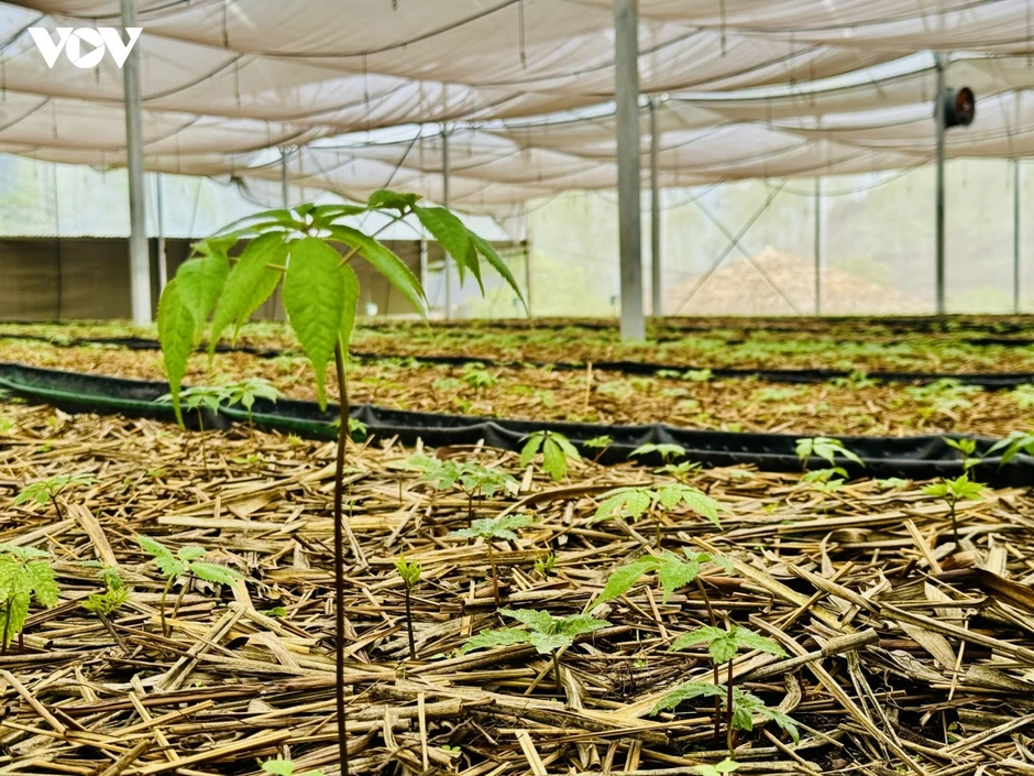 Đưa “đổi mới sáng tạo” xuống đồng ruộng giúp nông dân làm giàu Đưa “đổi mới sáng tạo” xuống đồng ruộng giúp nông dân làm giàu