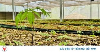 Đưa “đổi mới sáng tạo” xuống đồng ruộng giúp nông dân làm giàu
