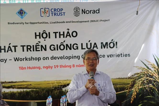 Đưa kết quả chọn tạo hai giống lúa mới từ nghiên cứu ra đồng ruộng Đưa kết quả chọn tạo hai giống lúa mới từ nghiên cứu ra đồng ruộng