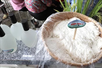 Đưa kết quả chọn tạo hai giống lúa mới từ nghiên cứu ra đồng ruộng