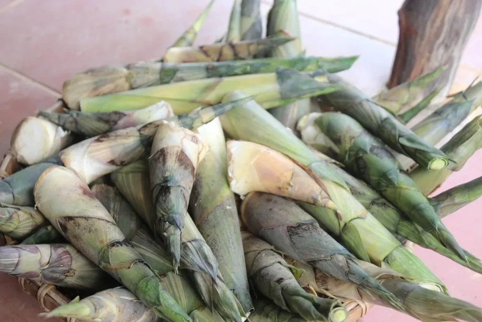 Đưa sầu riêng, bơ, mắc ca La Dạ đến gần người tiêu dùng Đưa sầu riêng, bơ, mắc ca La Dạ đến gần người tiêu dùng