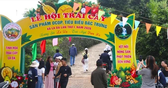 Đưa sầu riêng, bơ, mắc ca La Dạ đến gần người tiêu dùng