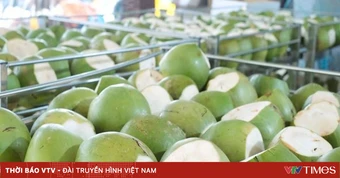 Dừa tươi tăng giá gấp 3 lần