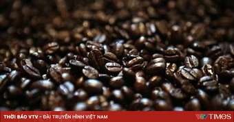 EU dựng "hàng rào xanh": Doanh nghiệp Việt đã sẵn sàng?