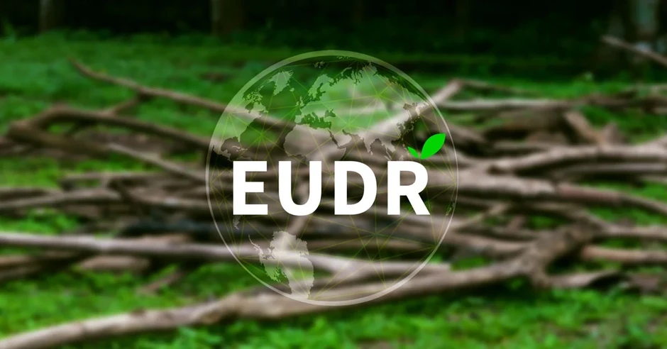 EUDR trước giờ G: Doanh nghiệp xuất khẩu sang châu Âu cần biết gì? EUDR trước giờ G: Doanh nghiệp xuất khẩu sang châu Âu cần biết gì?