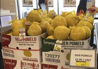 EVFTA: Gần một nửa kim ngạch 30 năm được tạo ra trong vòng 6 năm qua