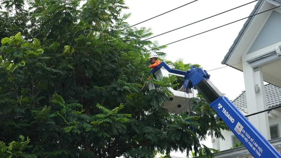 EVNHCMC chủ động các giải pháp đảm bảo an toàn điện vùng ven biển mùa mưa bão EVNHCMC chủ động các giải pháp đảm bảo an toàn điện vùng ven biển mùa mưa bão