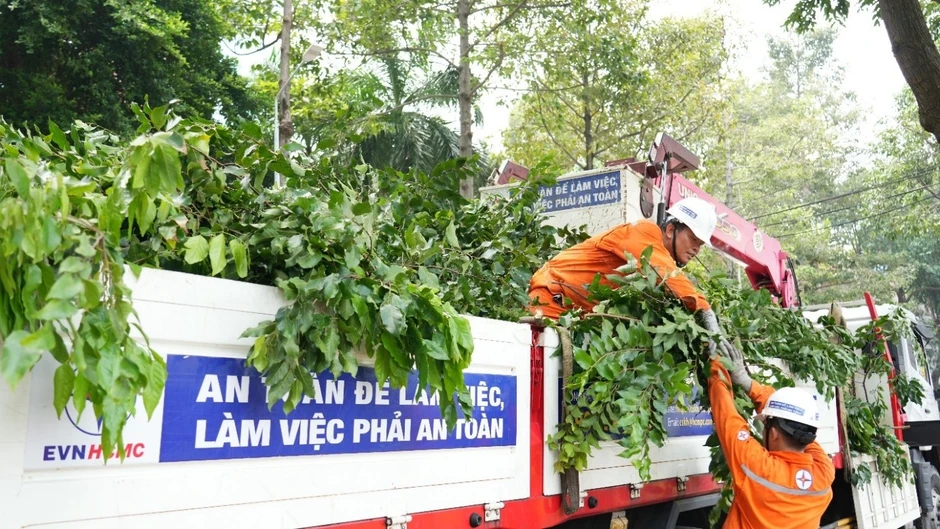 EVNHCMC chủ động các giải pháp đảm bảo an toàn điện vùng ven biển mùa mưa bão EVNHCMC chủ động các giải pháp đảm bảo an toàn điện vùng ven biển mùa mưa bão