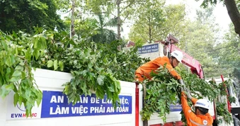 EVNHCMC chủ động các giải pháp đảm bảo an toàn điện vùng ven biển mùa mưa bão