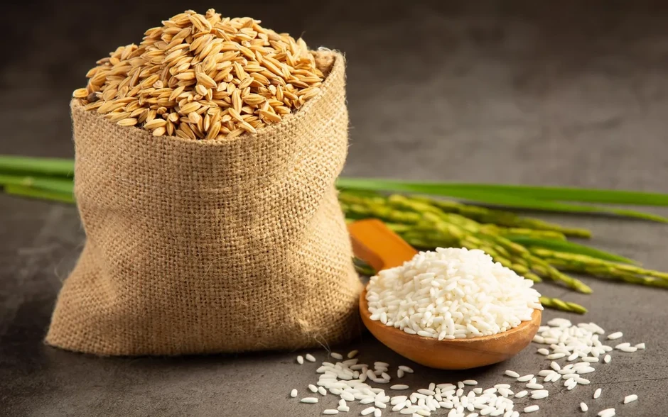 FAO: Xung đột Trung Đông đẩy giá lương thực toàn cầu tăng cao FAO: Xung đột Trung Đông đẩy giá lương thực toàn cầu tăng cao