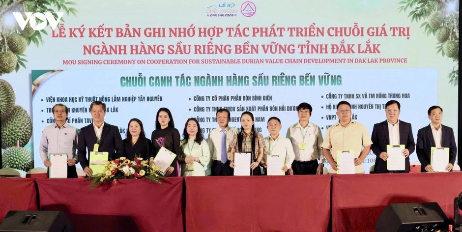 Gần 9.000 tỷ đồng cam kết đầu tư vào chuỗi giá trị sầu riêng Đắk Lắk