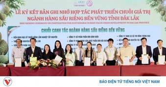 Gần 9.000 tỷ đồng cam kết đầu tư vào chuỗi giá trị sầu riêng Đắk Lắk