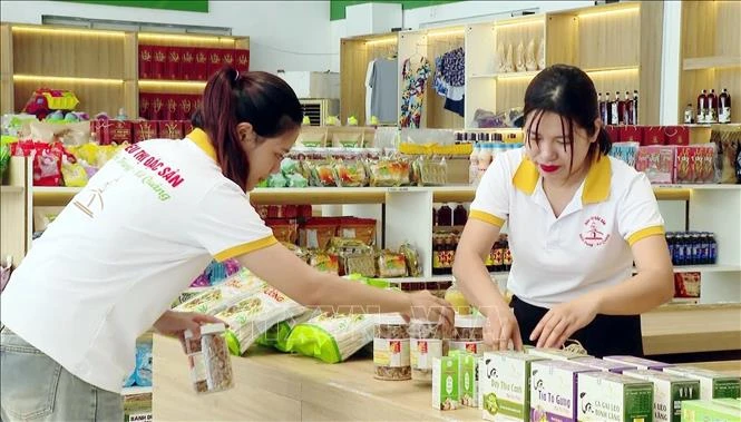 Gắn OCOP với du lịch, Quảng Trị mở không gian tiêu thụ nông sản Gắn OCOP với du lịch, Quảng Trị mở không gian tiêu thụ nông sản